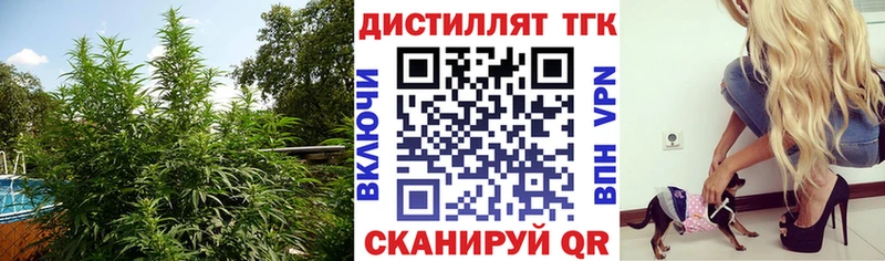 Дистиллят ТГК гашишное масло  Верхний Тагил 