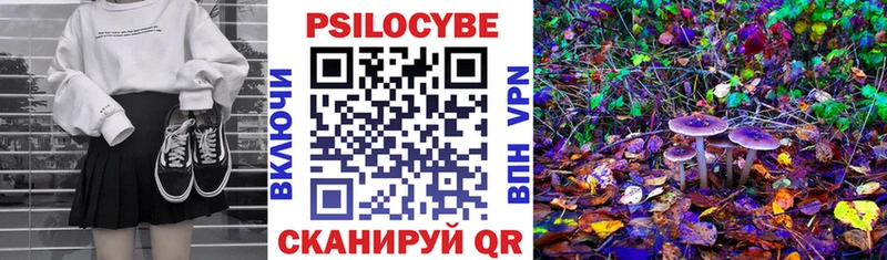 Псилоцибиновые грибы мицелий blacksprut маркетплейс Верхний Тагил