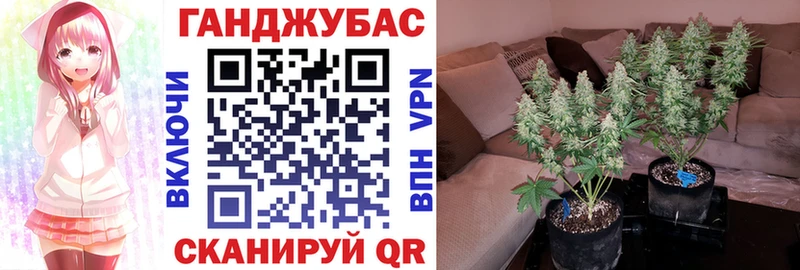 Конопля ГИДРОПОН  Верхний Тагил 